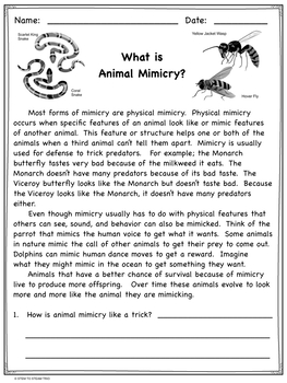 animal mimicry essay