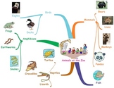 Mind Map Example: Animals at the Zoo
