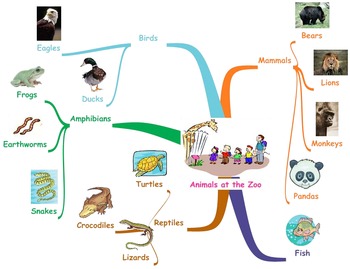 mind map example animals at the zoo by mindmap teachers pay teachers