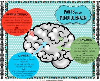 Mindful Brain Poster