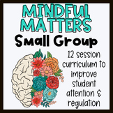 Mindful Matters: Small group curriculum for improving atte