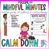 Calm Down Teaching Resources | Teachers Pay Teachers