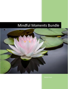 Preview of Mindful Moments Quick Start