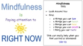 Mindfulness Activity