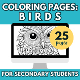 Mindfulness Activity | Bird Coloring Pages for Middle Scho