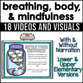 Preview of Mindfulness and Coping Videos and Posters