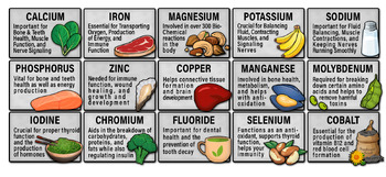 Preview of Mineral Nutrition Chart