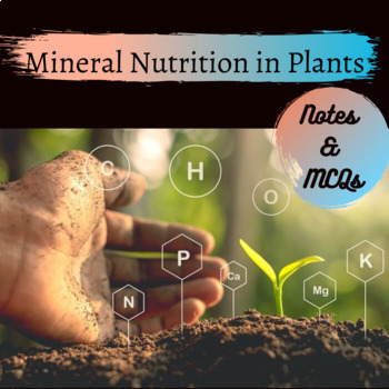 write an essay on mineral nutrition in plants