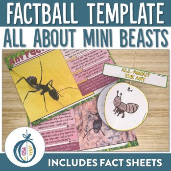 Preview of Mini Beasts Factballs and Fact Sheets