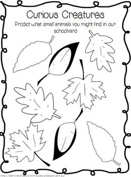 Mini Beasts Science Student Workbook by RoseyJosey | TpT