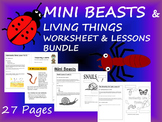 Mini Beasts Unit Lessons and Resources