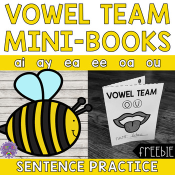 Preview of Mini-Books: Vowel Teams