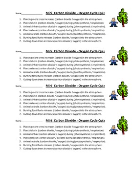 Preview of Mini Carbon Dioxide- Oxygen Cycle