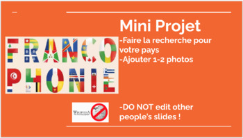 Preview of Mini-Francophone Project