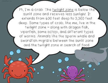 Mini Lesson: Ocean Zones Sunlit, Twilight, Midnight by Kady Did Doodles