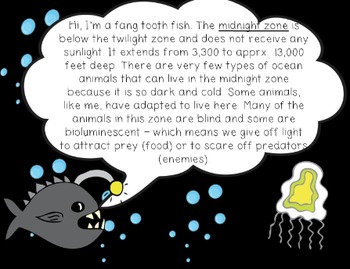 Mini Lesson: Ocean Zones Sunlit, Twilight, Midnight by Kady Did Doodles