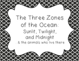 Mini Lesson: Ocean Zones Sunlit, Twilight, Midnight