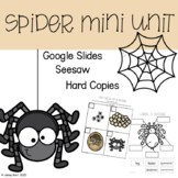 Spider Mini Lesson