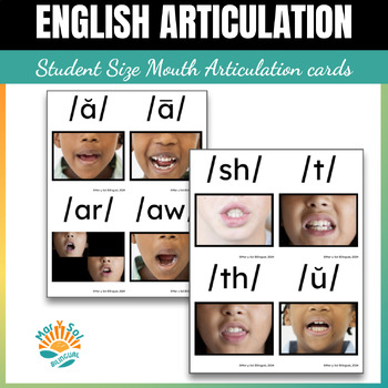 Preview of Mini Student Alphabet Mouth Picture Articulation Sound Cards