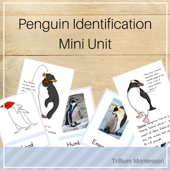 Preview of Mini Unit: Penguin Identification