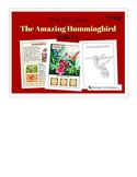 Mini Unit Study: Hummingbird