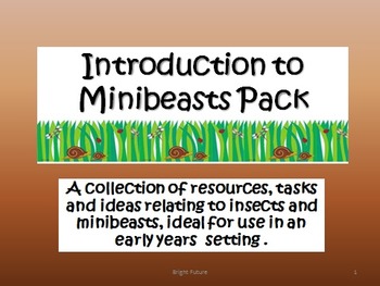 Preview of Minibeast Bundle - A Simple Introduction