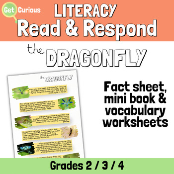 Preview of Minibeast Facts | Dragonfly | Vocab, Worksheets & Mini-book