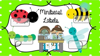 Preview of Minibeast Labels