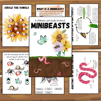 Preview of Minibeast unit study, bugs, insects, anatomy, lifecycles, pollinators, maths