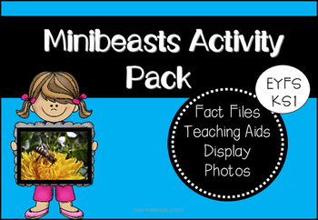 Preview of Minibeasts Activity Pack