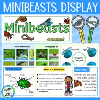 Preview of Minibeasts Bulletin Board Display (Bugs, Creepy Crawlies, Insects)