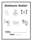 Minibeasts - Information Booklet & Pictures