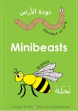 Minibeasts facts (insects)