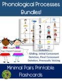 Minimal Pairs Bundle (9 phonological processes in one!)