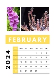 Minimalist Calendar for 2024