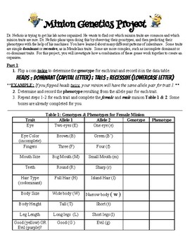 Preview of Minion Genetics Punnett Square Project