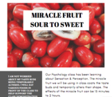 Miracle Fruit Demonstration Waiver Form | AP Psychology