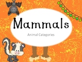 Miraculous Mammals! PPT, Riddle game, and 2 Worksheets!
