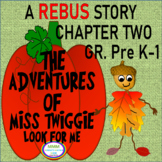 Miss Twiggie Rebus & Non Rebus Story Chapter 2- Look For Me