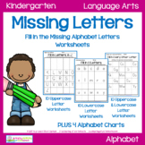 Missing Letters Worksheets