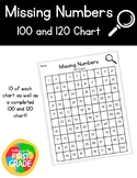 Missing Number 100 and 120 Charts!