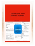 Upside Down in the Middle of Nowhere Complete Literature and Grammar Unit