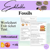 Missty's EDITABLE Fossils - Worksheet / Test/ Homework