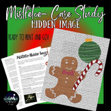 Mistletoe Hidden Image Christmas Science Activity