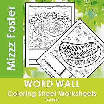 Preview of Mitochondria / Chloroplast Word Wall Coloring Sheets (2 pgs)
