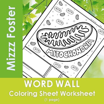 Preview of Mitochondria Word Wall Coloring Sheet (1 pg.)
