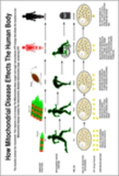 Preview of Mitochondrial Disease. Common Core Science. Structure and function. STEM .