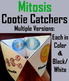 Mitosis Activity with Cellular Structures: Cell Cycle Unit