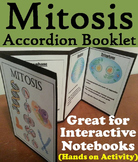 Mitosis Activity (Cell Cycle Game)
