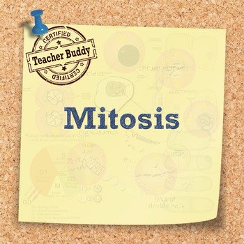 Preview of Mitosis